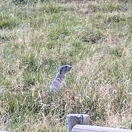 Apartamento Sur Arly - Proche Des Pistes Et De Megeve Praz-sur-Arly